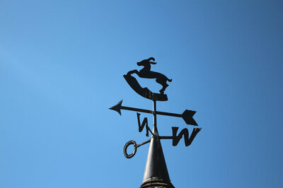 EHR ROI forecast - weather vane 